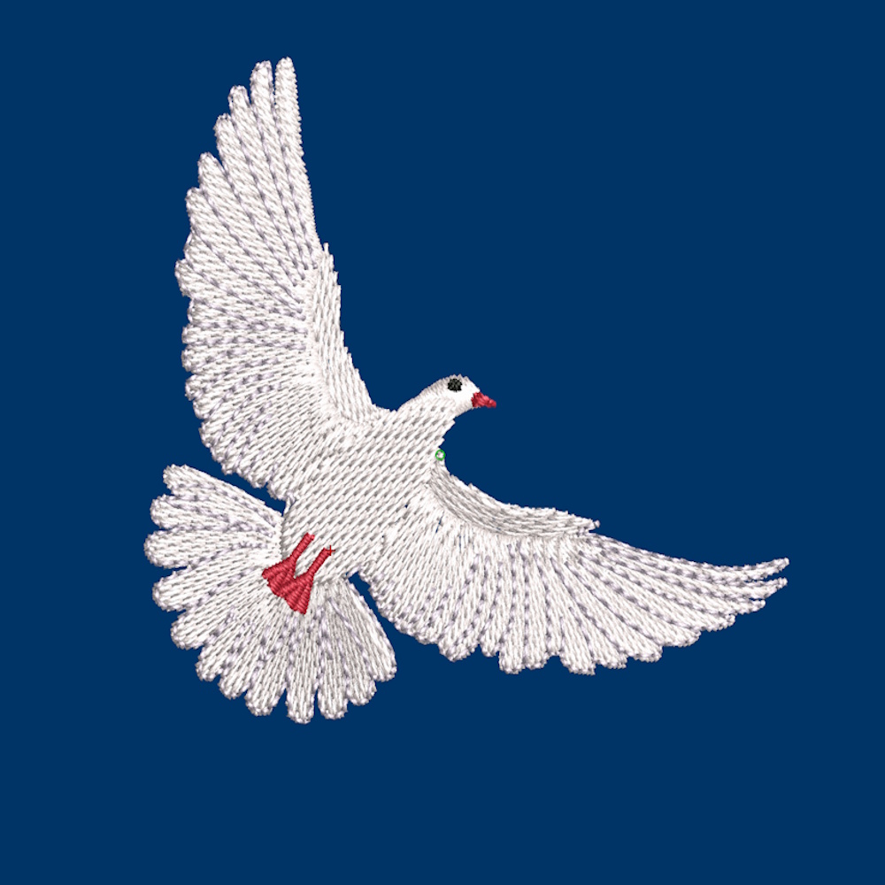 mateo galeb 1000x1000