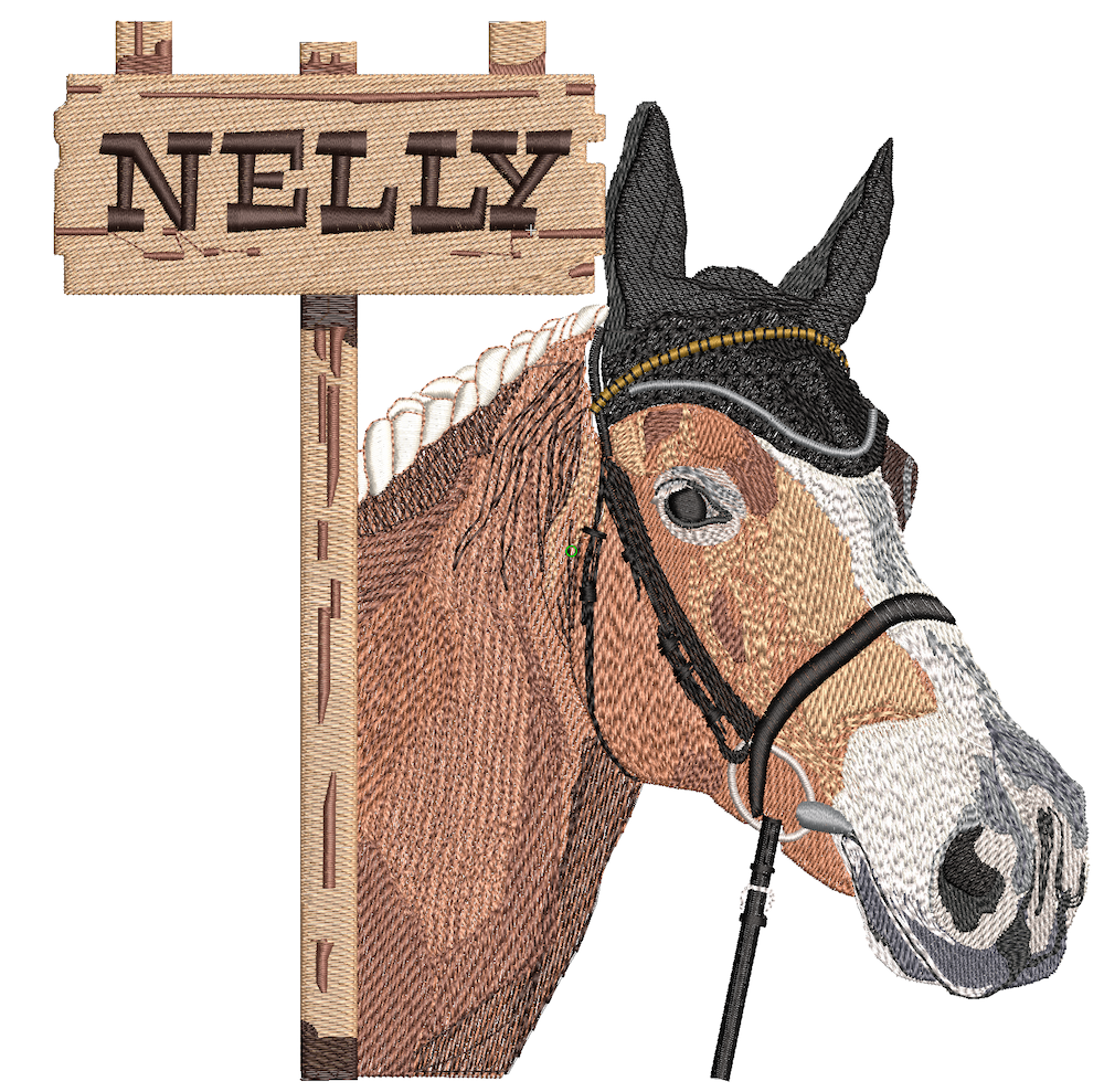 nelly sallon png kopie